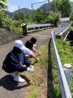 もうこんなに草が！